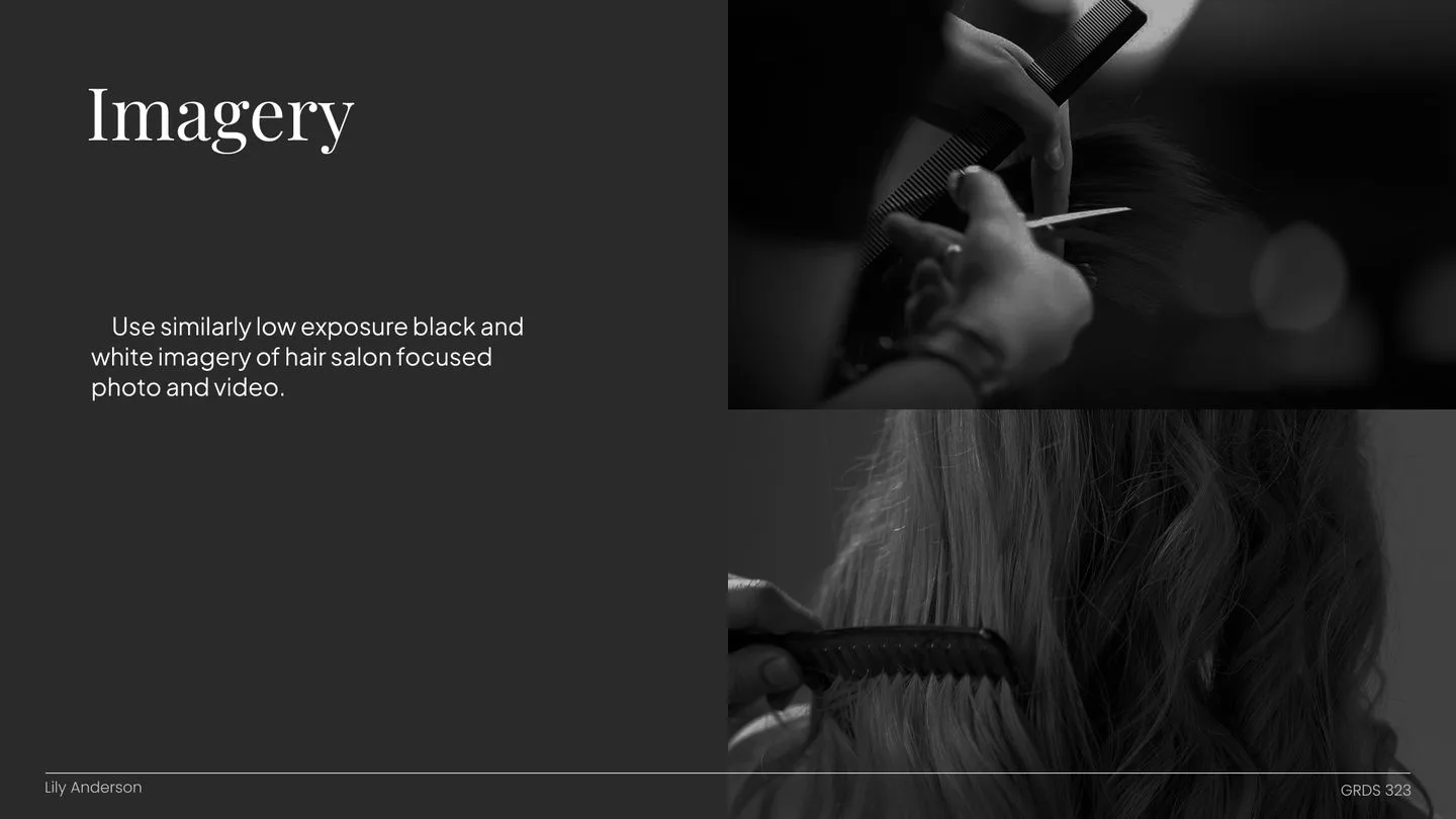Imagery guidelines, salon