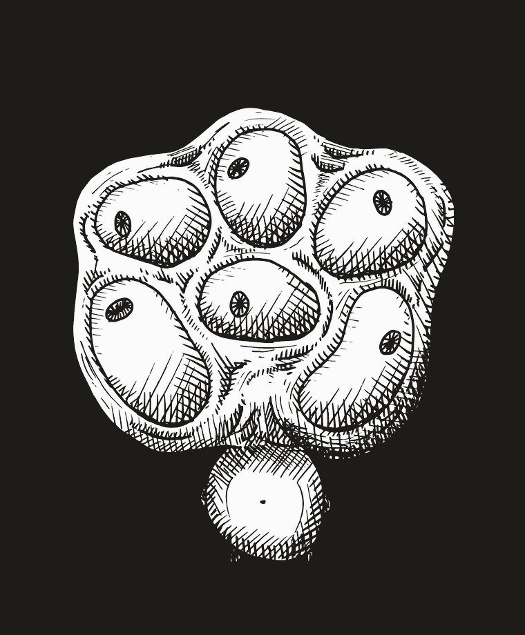 Hand-drawn ink monster illustration